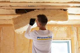 Best Spray Foam Insulation  in International Falls, MN